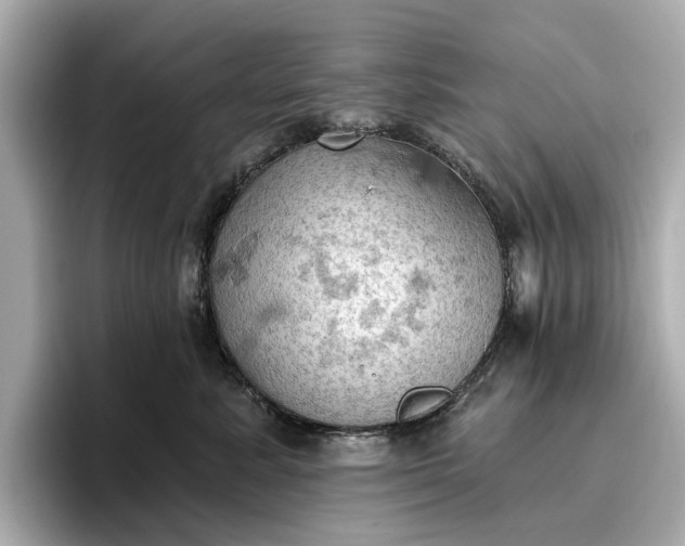 X0000096950619200802221323