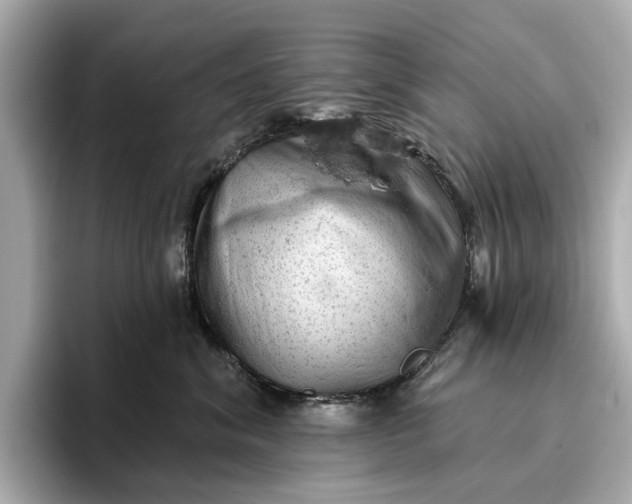 X0000096950620200802221323
