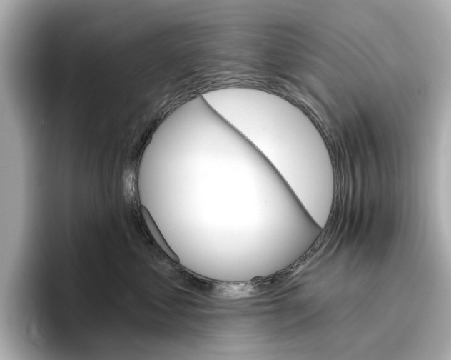X0000096950621200802221323