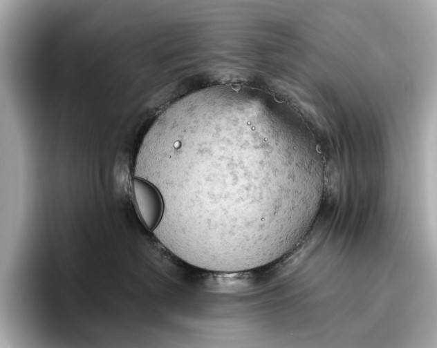 X0000096950622200802221323