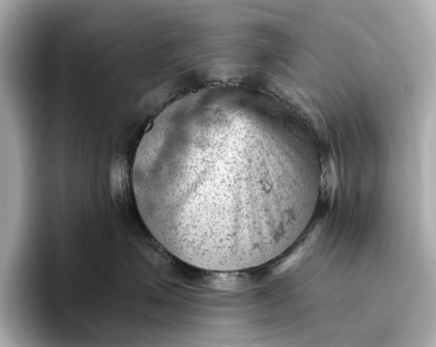 X0000096950623200802221323