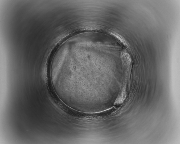 X0000096950627200802221323