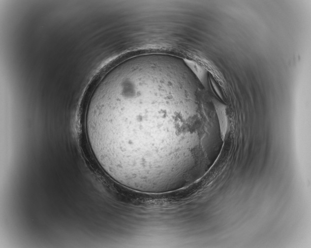 X0000096950628200802221323