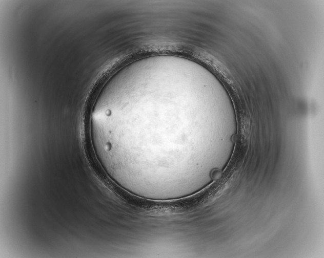 X0000096950629200802221323