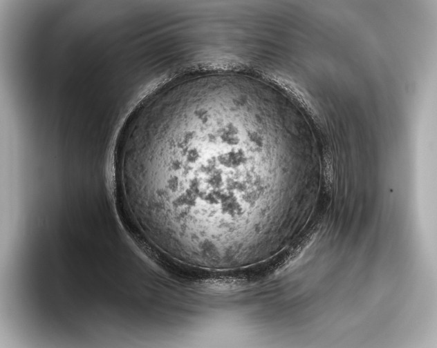 X0000096950630200802221323