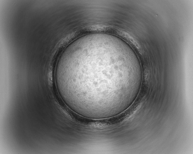 X0000096950633200802221323
