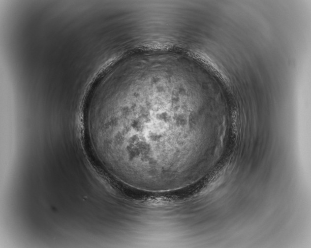 X0000096950634200802221323