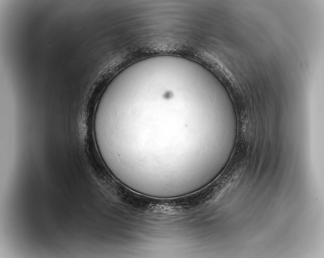 X0000096950635200802221323