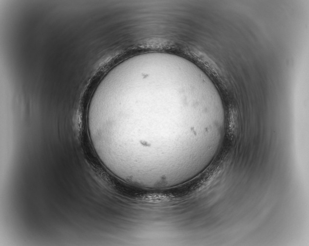 X0000096950636200802221323