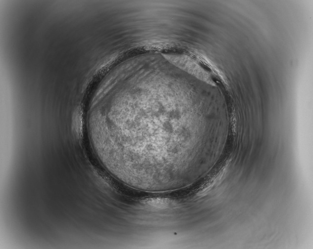 X0000096950637200802221323