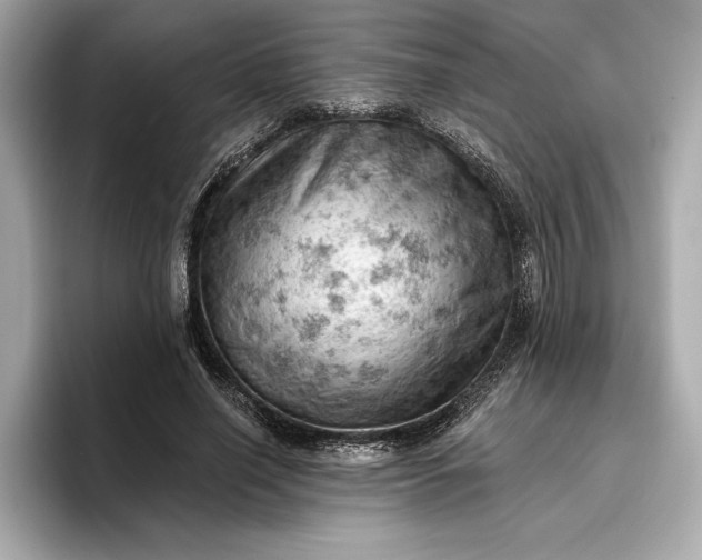 X0000096950638200802221323
