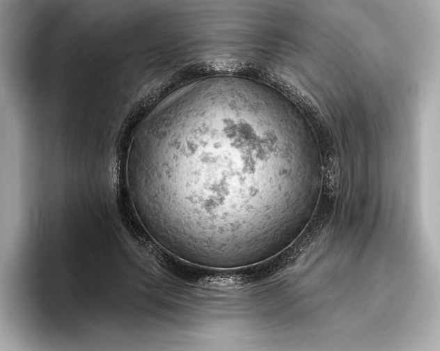 X0000096950639200802221323