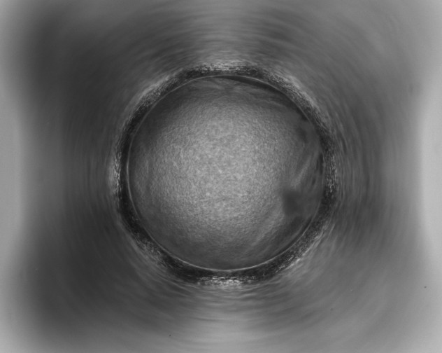 X0000096950640200802221323