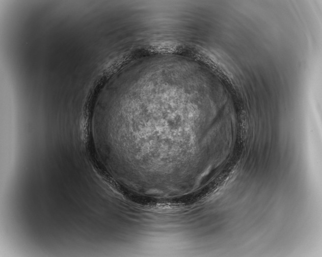X0000096950641200802221323
