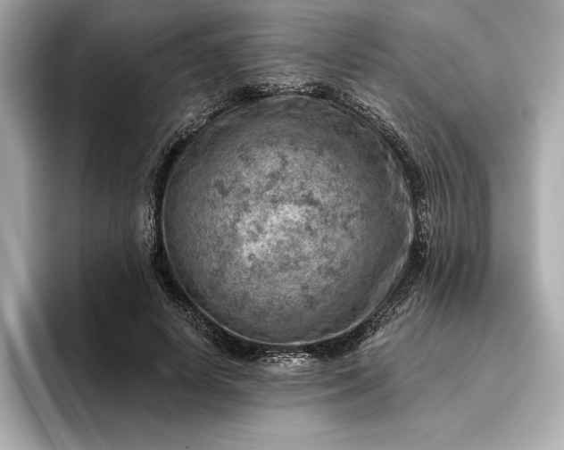 X0000096950642200802221323