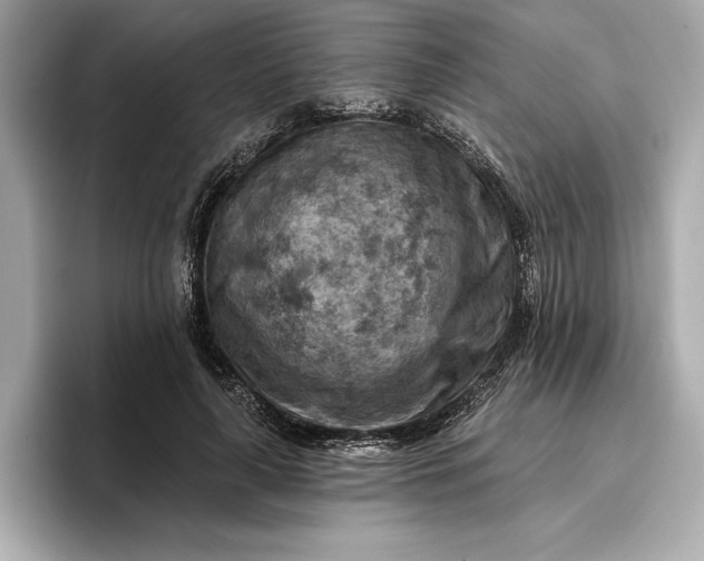 X0000096950643200802221323