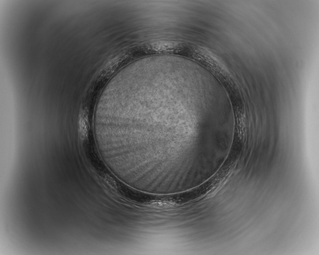 X0000096950644200802221323