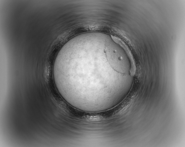 X0000096950645200802221323