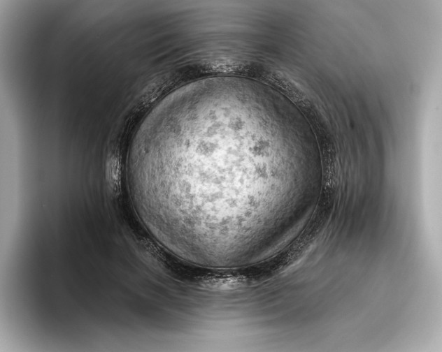 X0000096950646200802221323