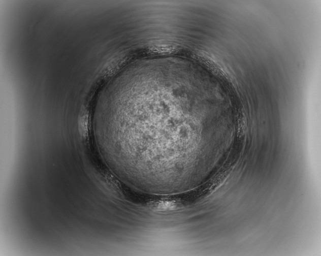 X0000096950647200802221323
