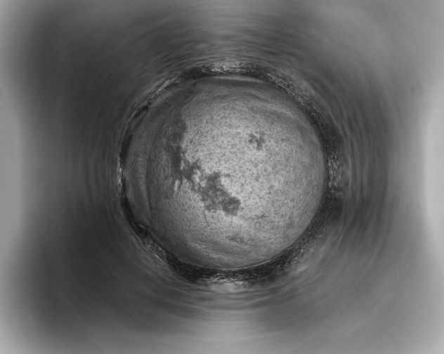 X0000096950648200802221323