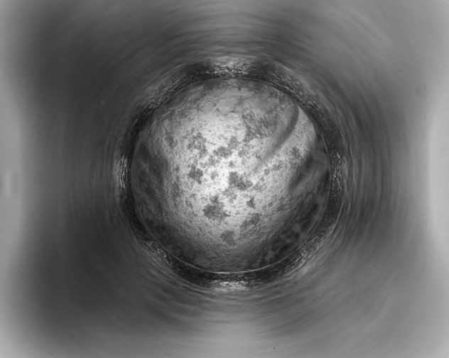 X0000096950649200802221323