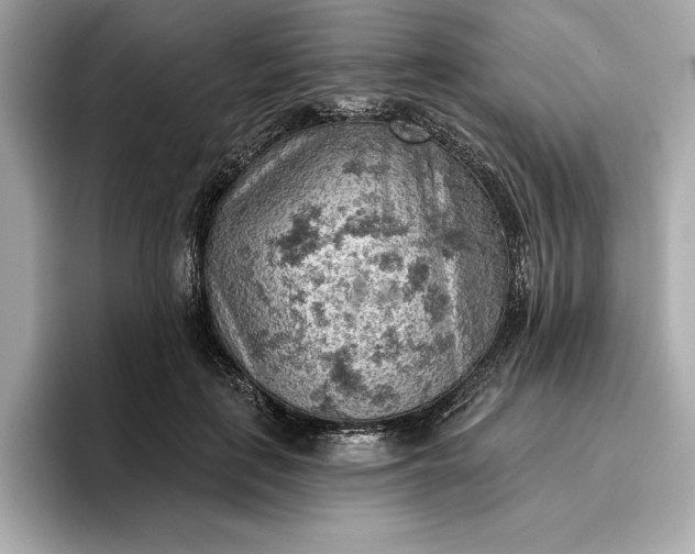 X0000096950651200802221323