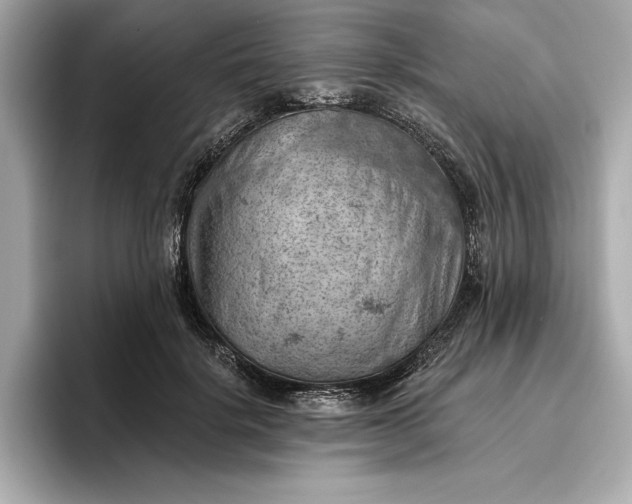 X0000096950652200802221323