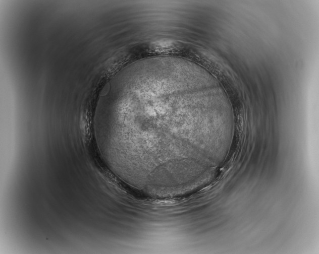 X0000096950653200802221323