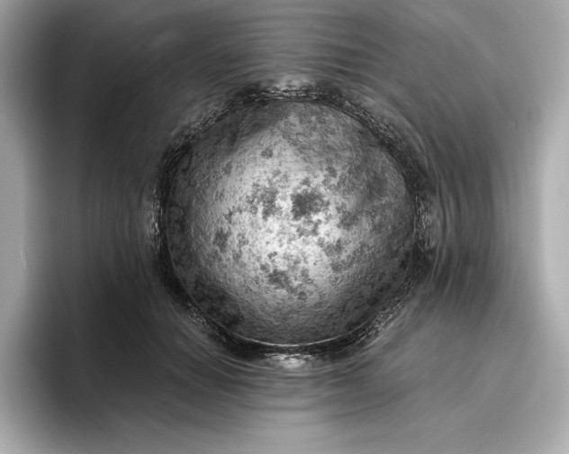 X0000096950654200802221323