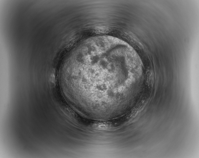 X0000096950655200802221323