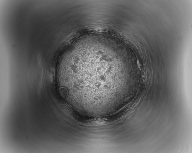 X0000096950656200802221323