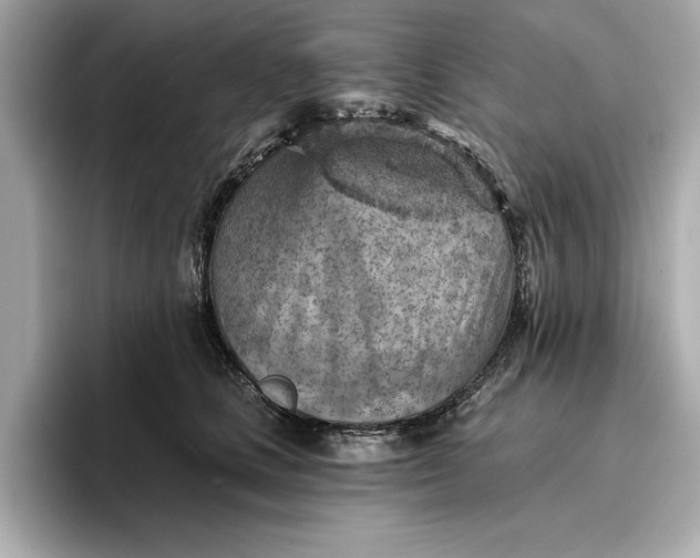 X0000096950661200802221323