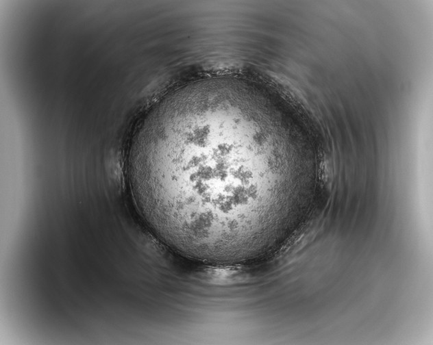 X0000096950662200802221323
