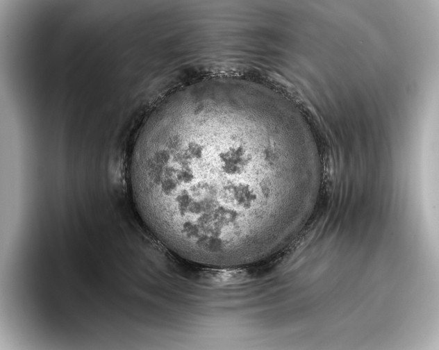 X0000096950663200802221323