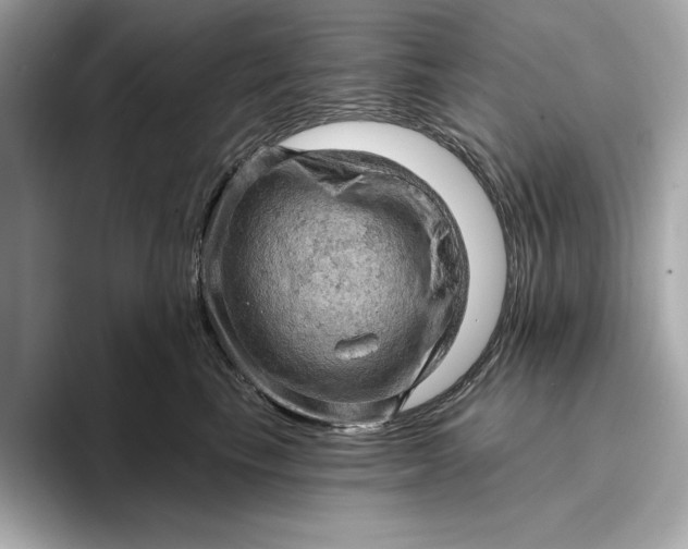 X0000096950665200802221323