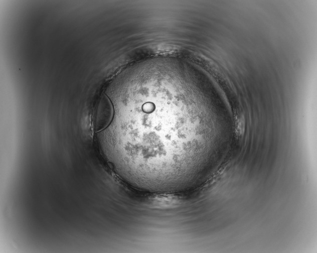 X0000096950666200802221323