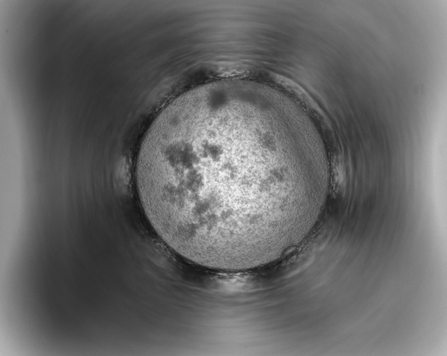 X0000096950667200802221323
