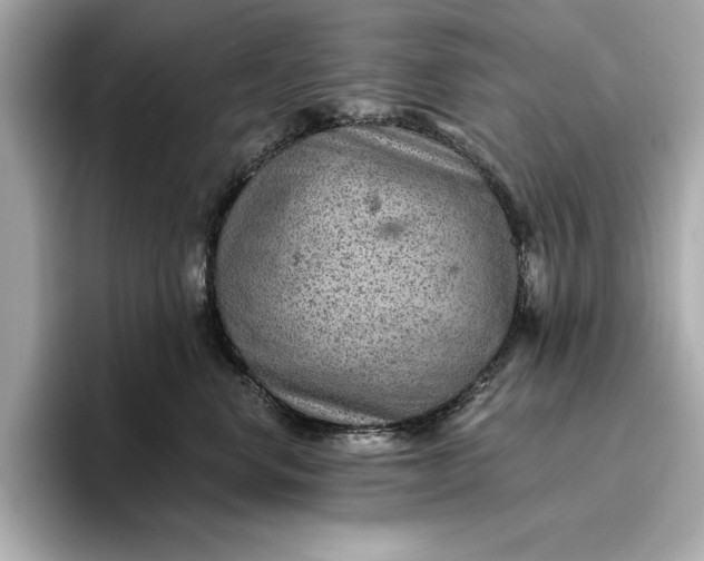 X0000096950668200802221323