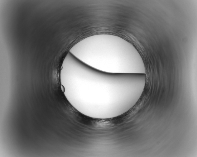 X0000096950669200802221323
