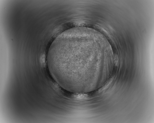 X0000096950670200802221323