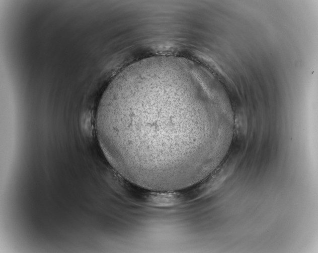 X0000096950671200802221323