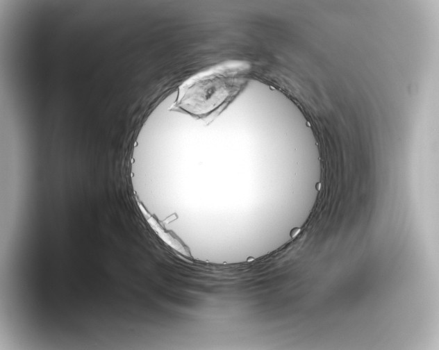 X0000096950672200802221323