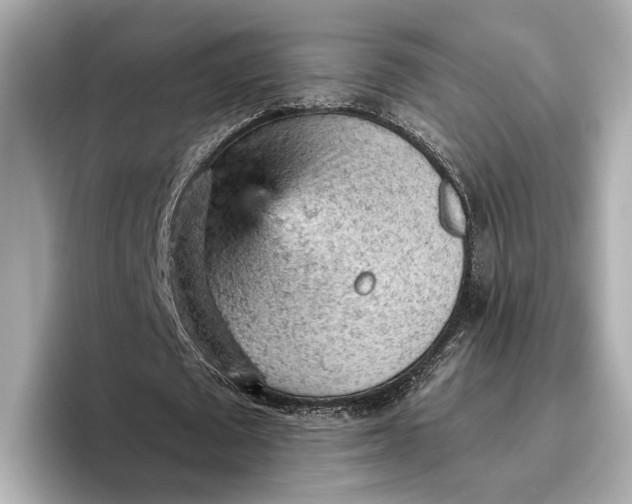 X0000096950673200802221323