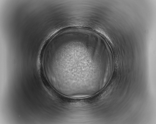 X0000096950674200802221323