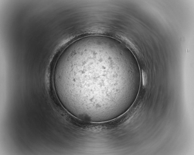 X0000096950675200802221323