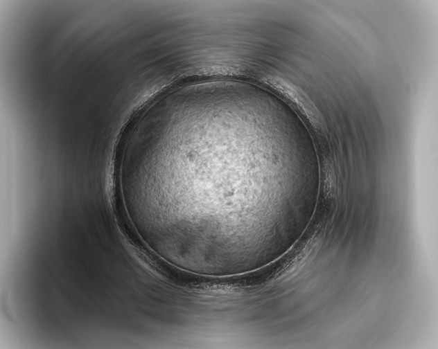 X0000096950677200802221323