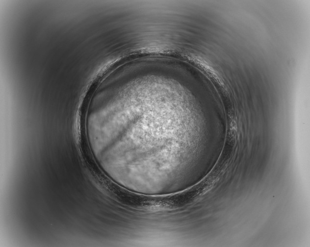 X0000096950678200802221322