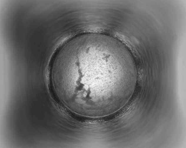 X0000096950679200802221322