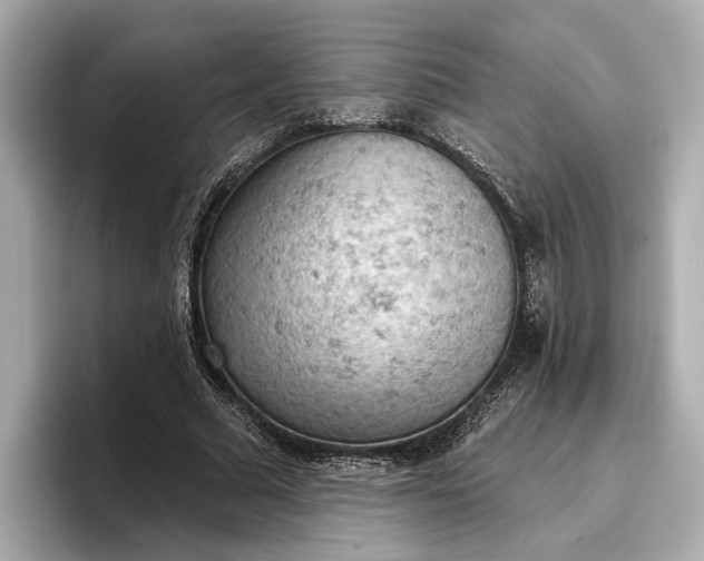 X0000096950681200802221322